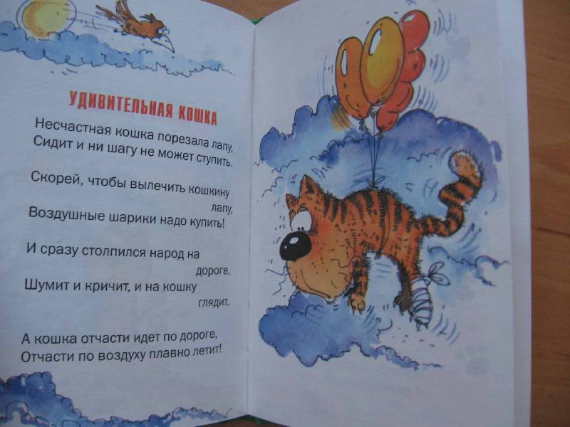 Иллюстрация 5 из 6 для Кискино горе: Стихи | Лабиринт - книги. Источник: Red cat ;)