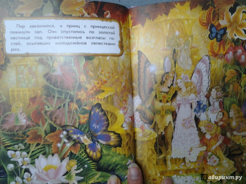 Иллюстрация 23 из 26 для Сказки заколдованного леса - Ширли Барбер | Лабиринт - книги. Источник: Olga