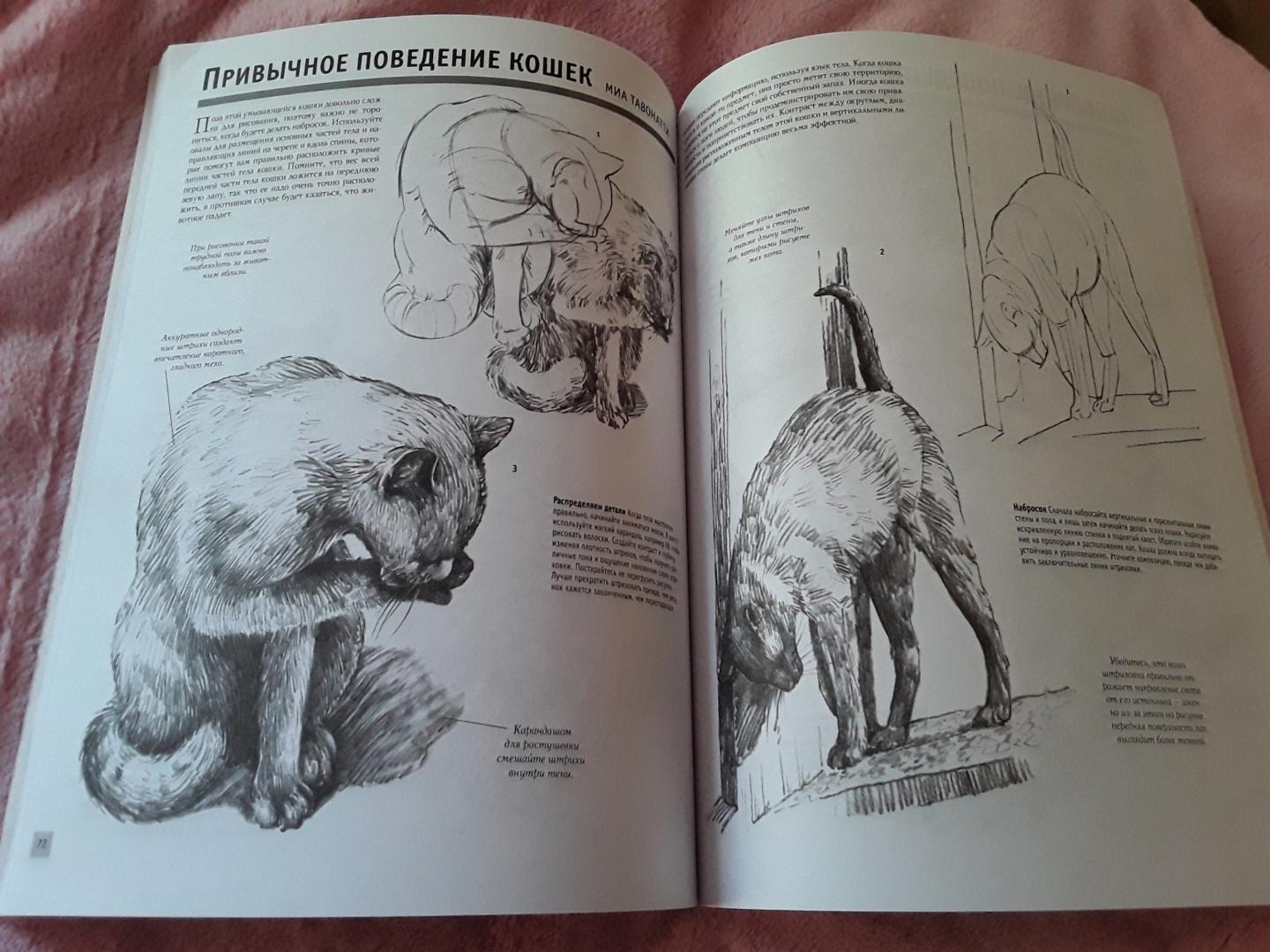 Иллюстрация 24 из 48 для Основы рисования | Лабиринт - книги. Источник: Ан Дарья