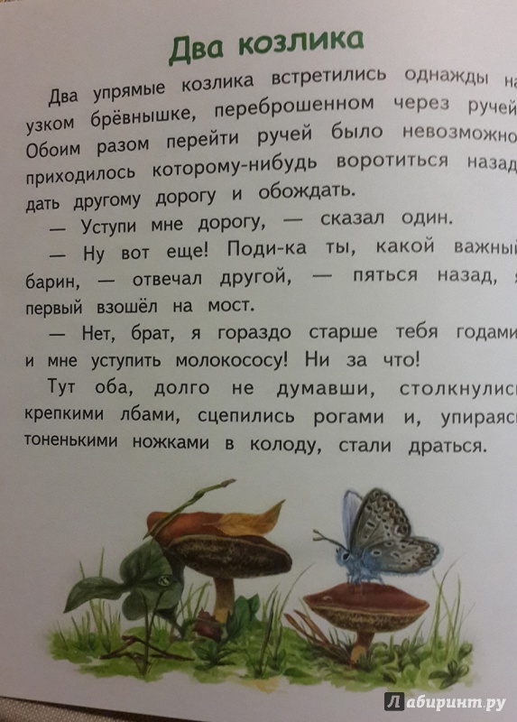 Иллюстрация 19 из 23 для Лиса и гуси - Константин Ушинский | Лабиринт - книги. Источник: Лиса