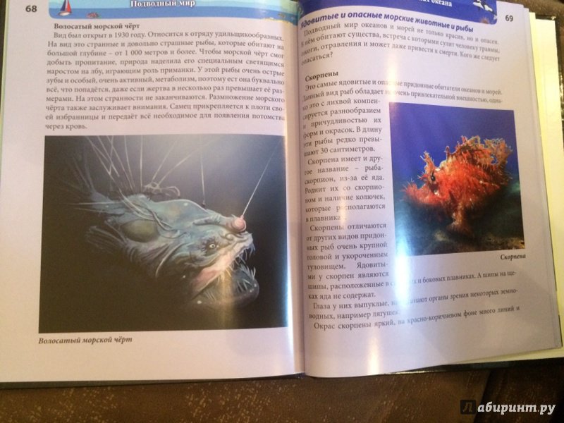 Иллюстрация 33 из 77 для Хочу знать. Подводный мир - Наталья Кульмина | Лабиринт - книги. Источник: Лабиринт