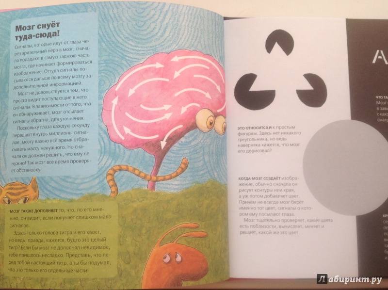 Иллюстрация 11 из 21 для Всё о мозге для детей в рассказах и картинках - Юнатан Линдстрём | Лабиринт - книги. Источник: Mishany@