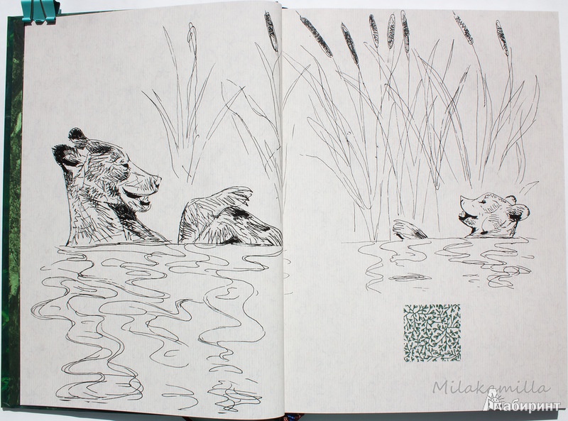 Иллюстрация 58 из 69 для Год в лесу - Иван Соколов-Микитов | Лабиринт - книги. Источник: Букландия