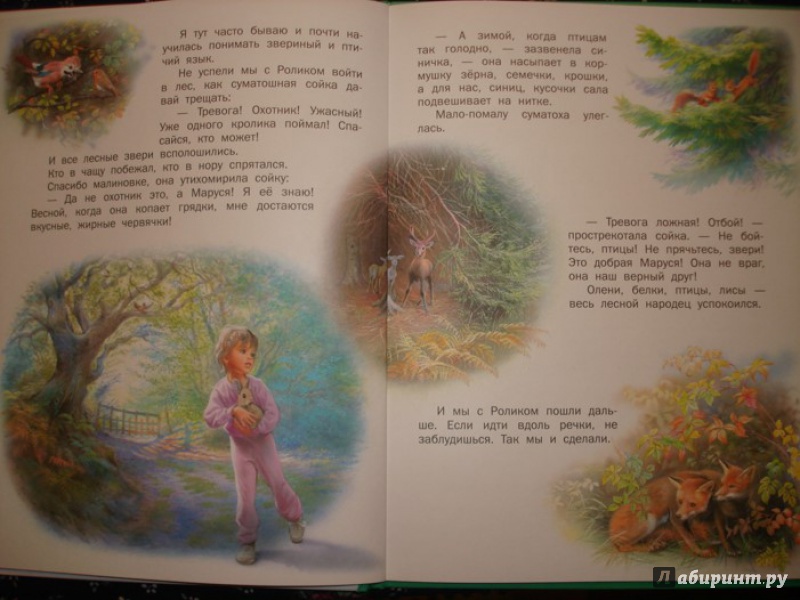 Иллюстрация 10 из 45 для Маруся - подружка всех зверят. В лесу. В деревне - Делаэ, Марлье | Лабиринт - книги. Источник: Сорокина  Лариса