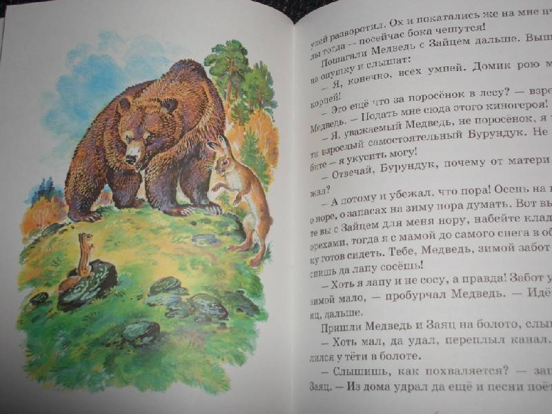 Рассказ сладкова медведь. Медведь и солнце Сладков иллюстрации. Рассказ Николая Сладкова, неслух.