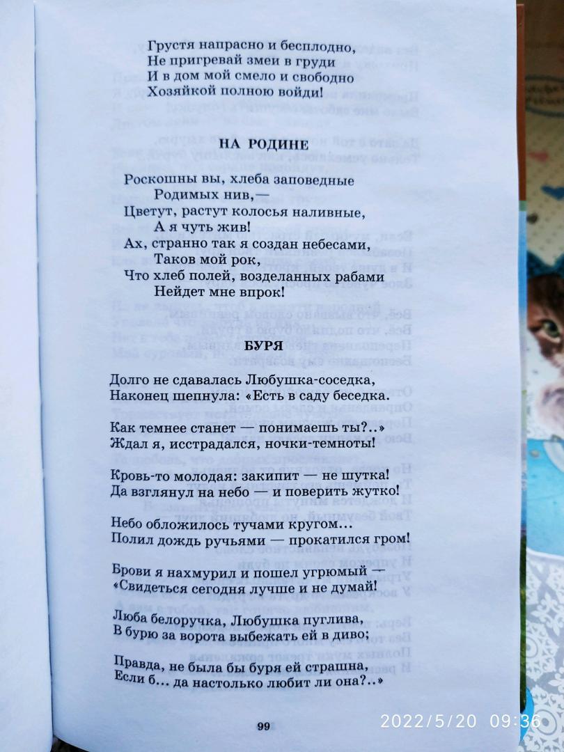 Иллюстрация 33 из 42 для Стихотворения - Николай Некрасов | Лабиринт - книги. Источник: Ekaterina Фиалковая