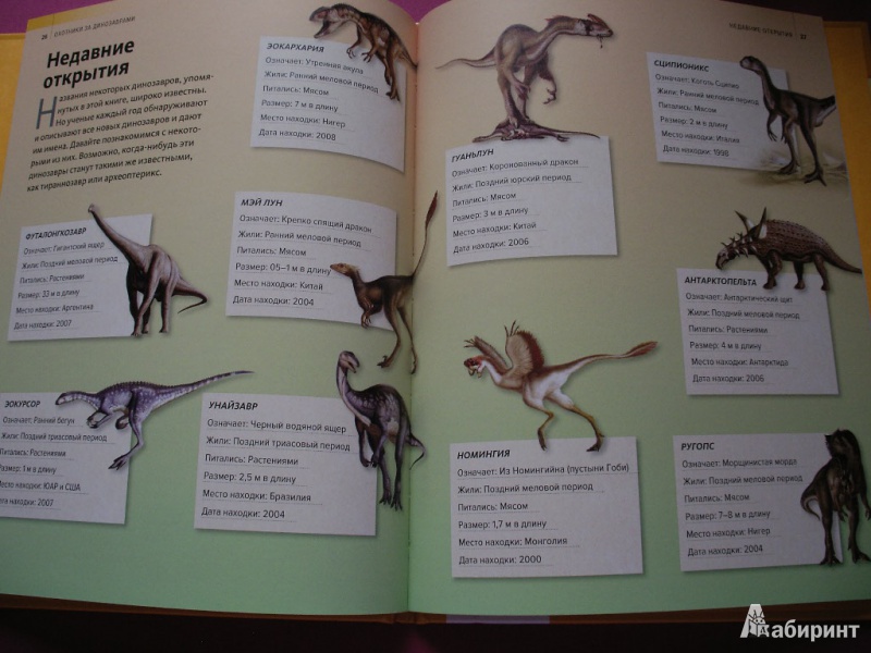 Иллюстрация 13 из 39 для Охотники за динозаврами | Лабиринт - книги. Источник: Tiger.