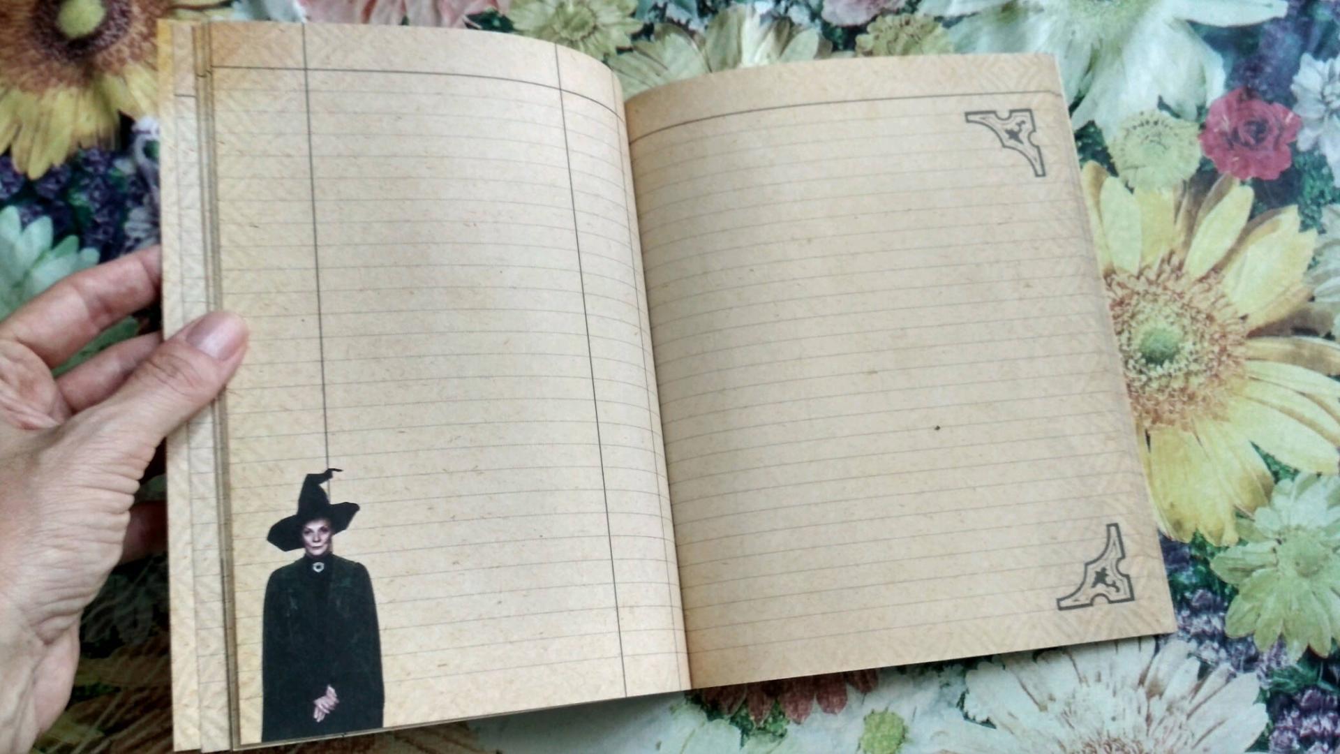 Иллюстрация 24 из 35 для Гарри Поттер. Читательский дневник | Лабиринт - канцтовы. Источник: Лабиринт