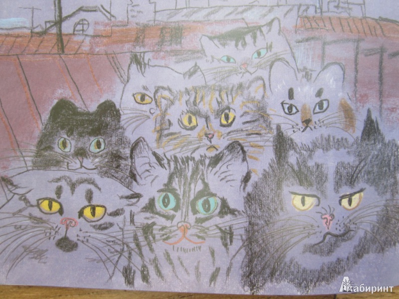 Иллюстрация 25 из 50 для Кот и пёс - Татьяна Макарова | Лабиринт - книги. Источник: ЮлияО