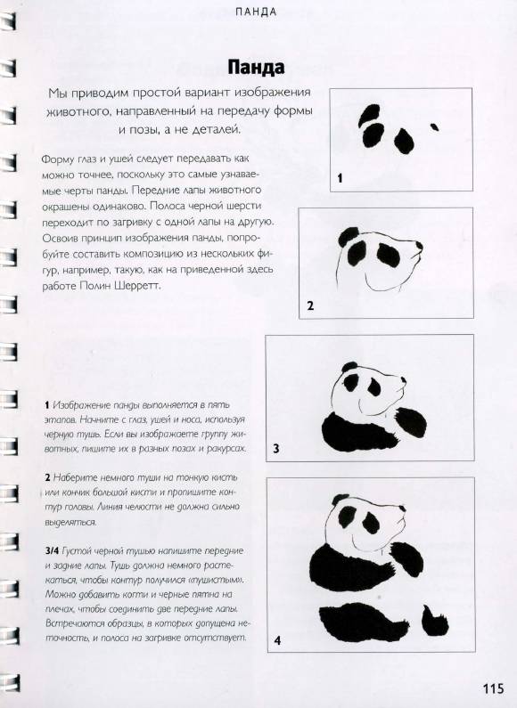 Иллюстрация 23 из 51 для Китайская живопись кистью - Вив Фостер | Лабиринт - книги. Источник: Joker