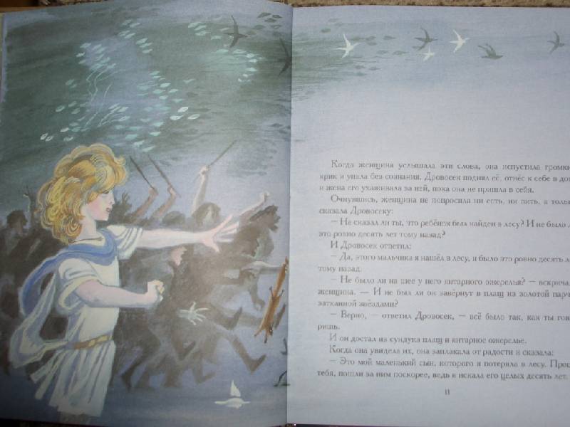 Иллюстрация 29 из 40 для Мальчик-Звезда: Сказки - Оскар Уайльд | Лабиринт - книги. Источник: sher