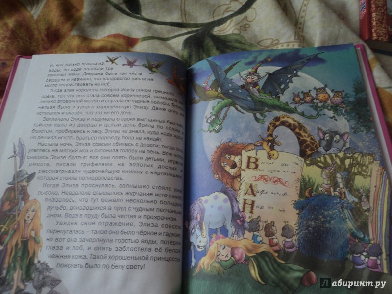 Иллюстрация 11 из 28 для Дикие лебеди. Сказки - Ханс Андерсен | Лабиринт - книги. Источник: Alexsis