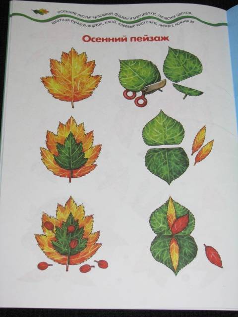 Иллюстрация 29 из 31 для Ожившие листочки. Коллаж из листьев | Лабиринт - книги. Источник: Nemertona