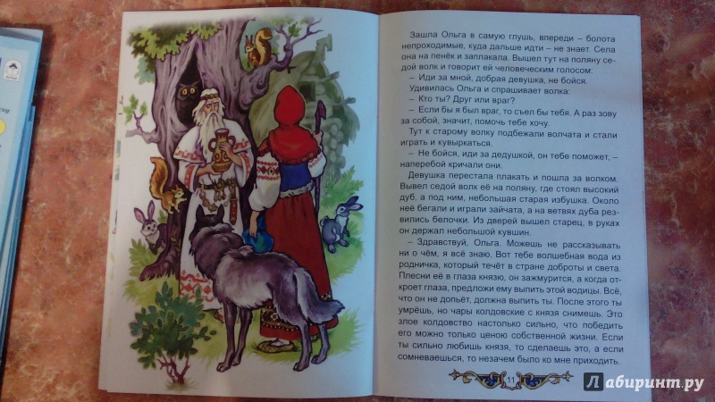Иллюстрация 15 из 27 для Сказка про настоящую любовь - Виталий Лиходед | Лабиринт - книги. Источник: Косова  Мария