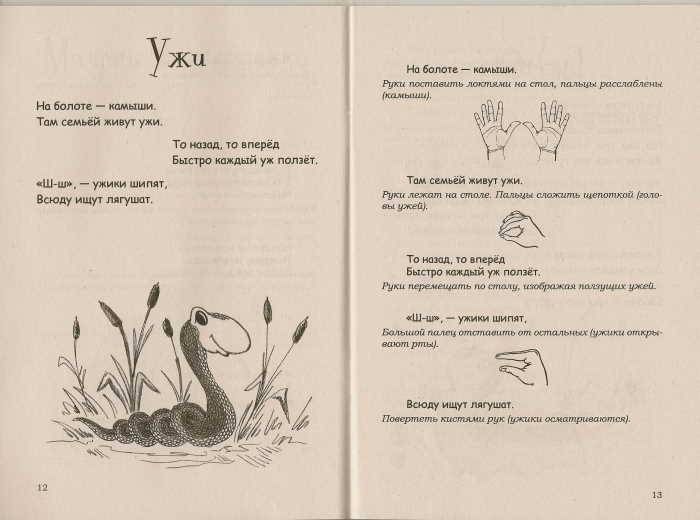 Иллюстрация 11 из 21 для Забавные животные. Пальчиковые игры для детей от 2 до 6 лет - Екатерина Савельева | Лабиринт - книги. Источник: _Елена_