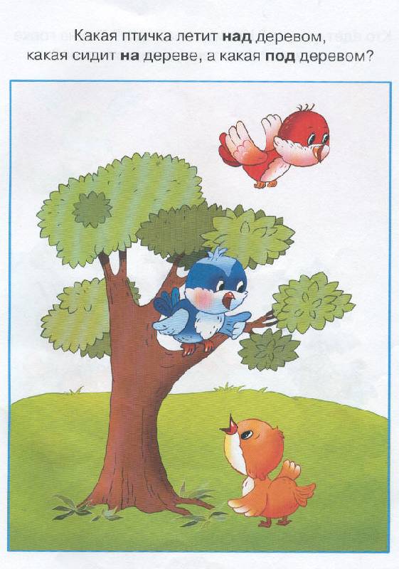 Иллюстрация 10 из 14 для Вправо - влево, вверх - вниз. Для детей 2-3 лет | Лабиринт - книги. Источник: Пчёлка Майя