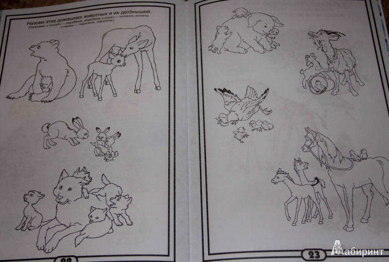Иллюстрация 12 из 22 для Развитие речи (для детей от 3-х лет) | Лабиринт - книги. Источник: Ксенофонтова  Анастасия Игоревна