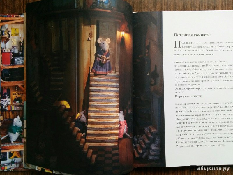 Иллюстрация 34 из 41 для Мышкин дом. Самми и Юлия - Карина Схапман | Лабиринт - книги. Источник: Natalie Leigh