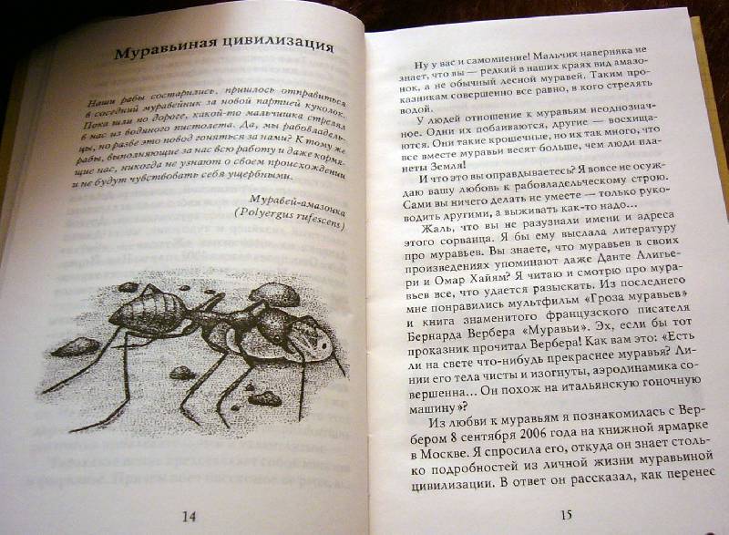 Иллюстрация 29 из 32 для Письма насекомых - Ольга Кувыкина | Лабиринт - книги. Источник: Nika