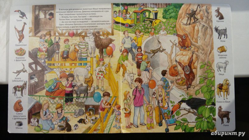 Иллюстрация 26 из 35 для В зоопарке | Лабиринт - книги. Источник: Шарова  Валентина Николаевна