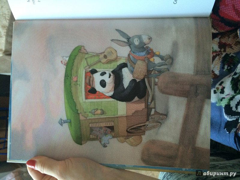 Иллюстрация 21 из 46 для Панда-бродяга - Квентин Гребан | Лабиринт - книги. Источник: Липская  Ольга Ивановна