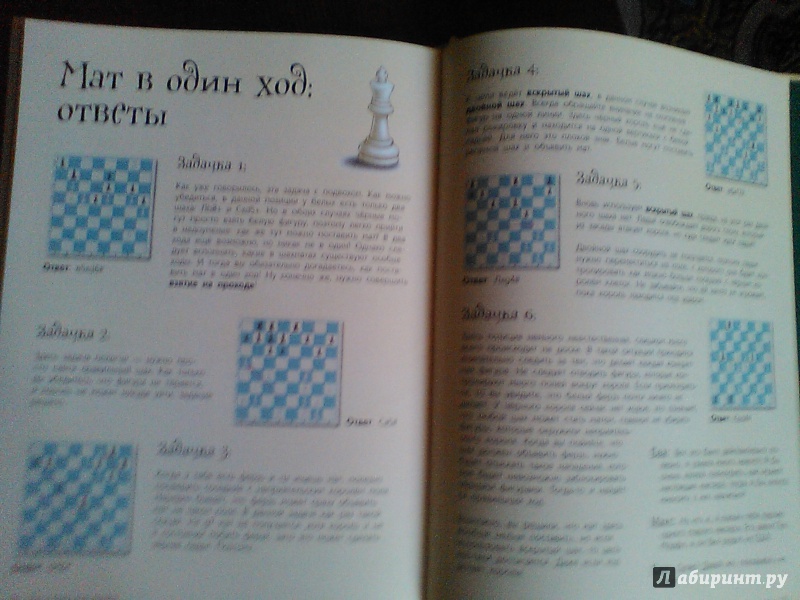 Иллюстрация 18 из 37 для Шахматы для детей - Сабрина Чеваннес | Лабиринт - книги. Источник: Fei Er