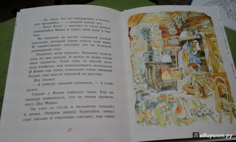 Иллюстрация 62 из 83 для Апельсин - Анна Доброчасова | Лабиринт - книги. Источник: Ekaterina_Y