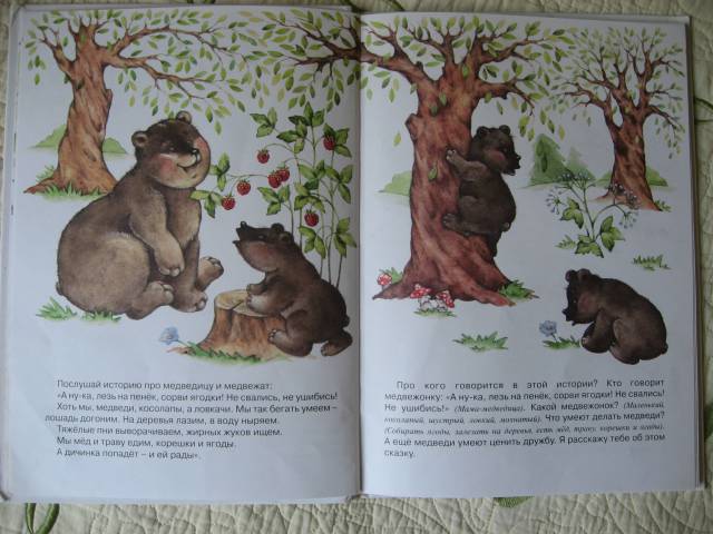 Иллюстрация 13 из 34 для Мишка и все остальные - Оксана Ушакова | Лабиринт - книги. Источник: Юта