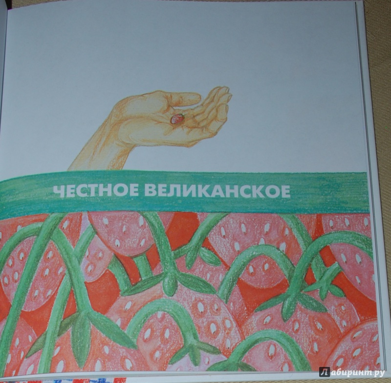 Иллюстрация 18 из 29 для Честное великанское - Николай Боровков | Лабиринт - книги. Источник: Книжный кот