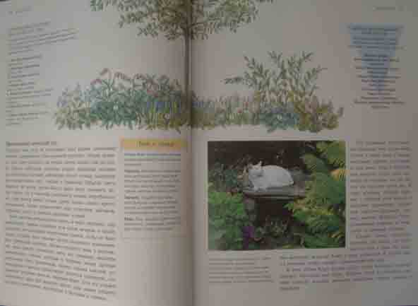 Иллюстрация 17 из 30 для Дивный сад без лишних хлопот | Лабиринт - книги. Источник: Easy