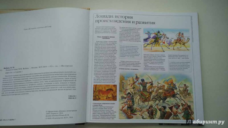 Иллюстрация 17 из 22 для Лошади и пони - Владимир Жабцев | Лабиринт - книги. Источник: Лабиринт