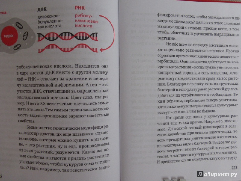 Иллюстрация 12 из 20 для Буравчик готовит обед. Кулинарные истории - В. Богомолов | Лабиринт - книги. Источник: Лиса Олеся