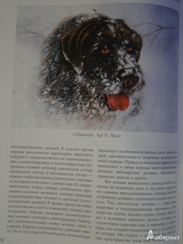 Иллюстрация 20 из 39 для Охота на пернатую дичь - Олег Малов | Лабиринт - книги. Источник: juli1975