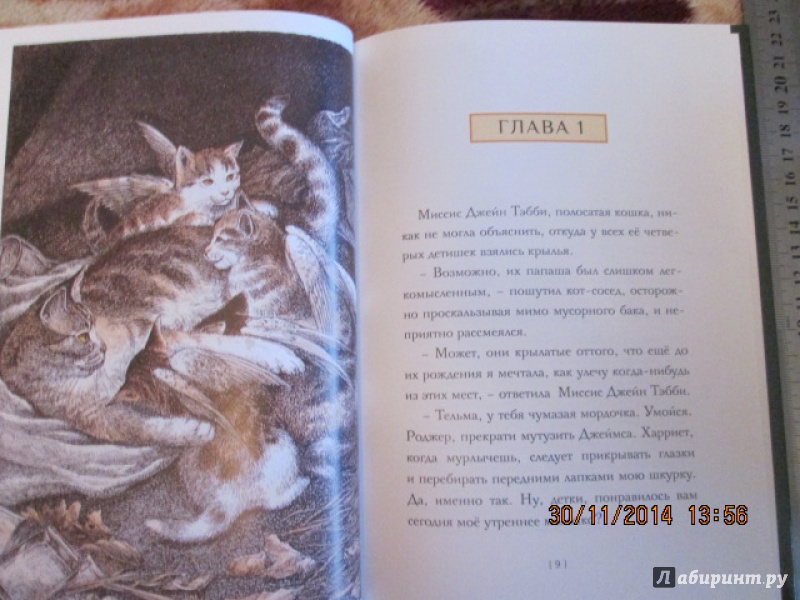 Иллюстрация 31 из 59 для Крылатые кошки - Гуин Ле | Лабиринт - книги. Источник: Сироткина  Мария