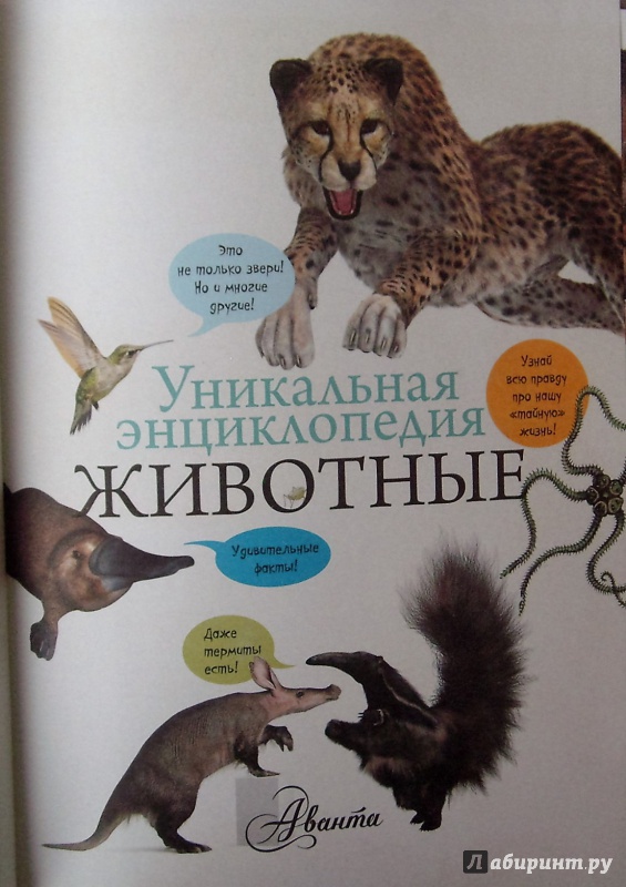 Иллюстрация 19 из 32 для Животные. Уникальная энциклопедия - Юлия Касаткина | Лабиринт - книги. Источник: Соловьев  Владимир