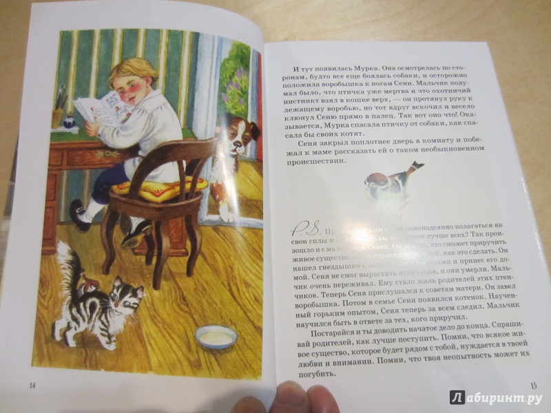 Иллюстрация 9 из 35 для Хитрец | Лабиринт - книги. Источник: Марина Дубровская(Вишнякова)