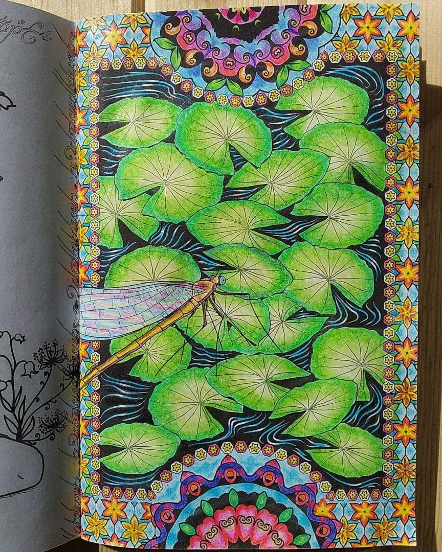 Иллюстрация 57 из 60 для Загадочный лес. Мини-раскраска-антистресс для творчества и вдохновения | Лабиринт - книги. Источник: Лабиринт