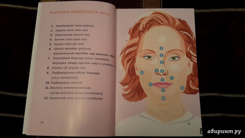 Иллюстрация 2 из 3 для Естественный фейслифтинг. Омолодите свое лицо - Леена Кивилуома | Лабиринт - книги. Источник: Цокотуха
