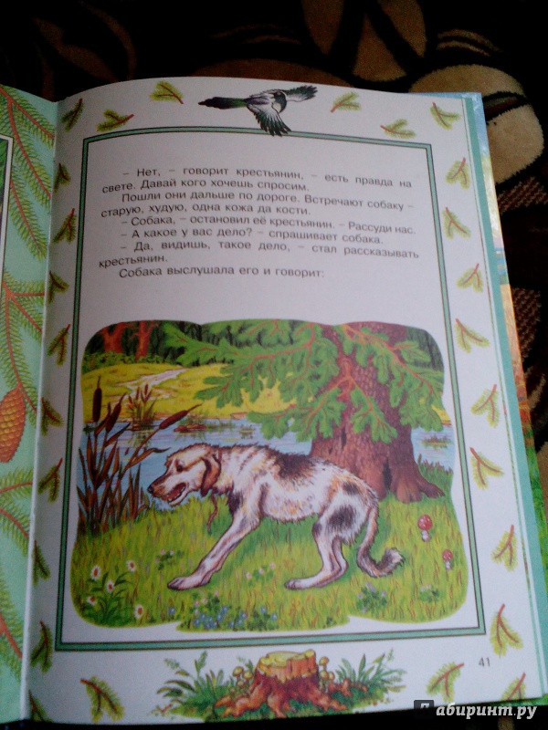 Иллюстрация 16 из 30 для Кот и пес. Легкий хлеб. Как лиса волка судила | Лабиринт - книги. Источник: drakoha