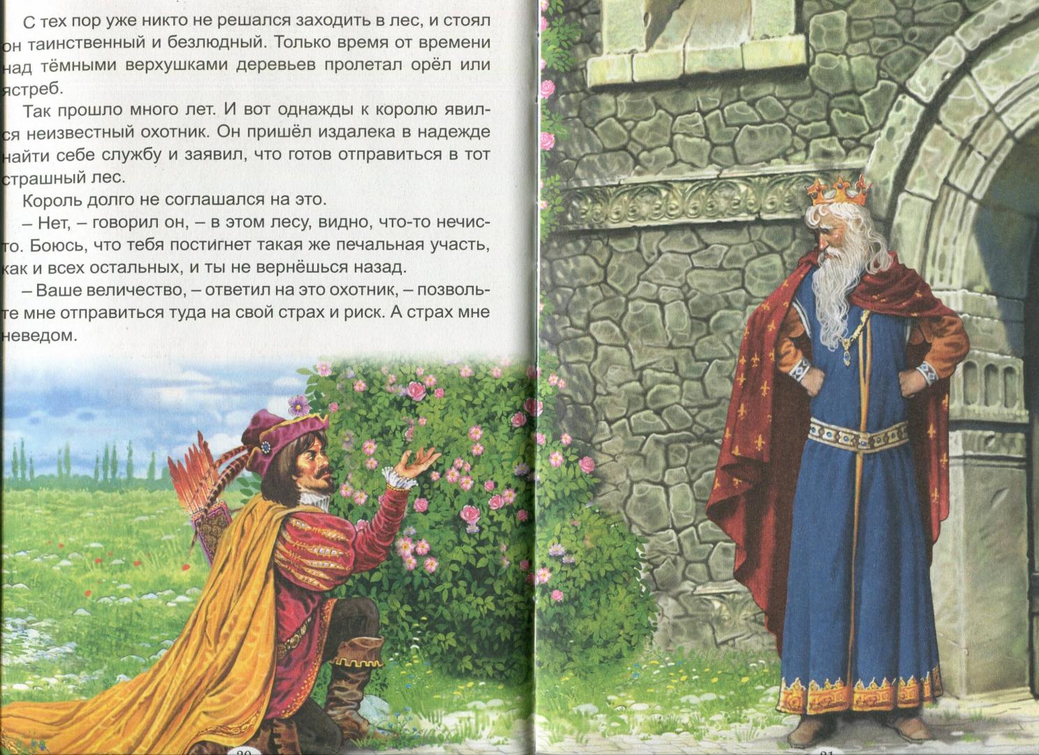 Иллюстрация 16 из 27 для Королевские сказки - Гримм, Андерсен, Лабулэ | Лабиринт - книги. Источник: Лабиринт
