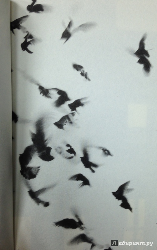 Иллюстрация 4 из 33 для Extremely Loud & Incredibly Close - Jonathan Foer | Лабиринт - книги. Источник: Tatiana Sheehan