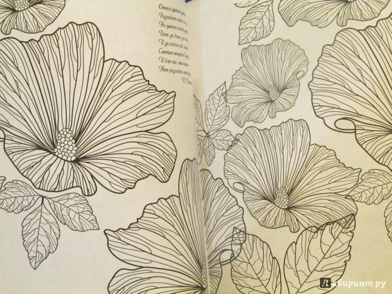 Иллюстрация 8 из 35 для Чудесные цветы | Лабиринт - книги. Источник: Ivanov Igor
