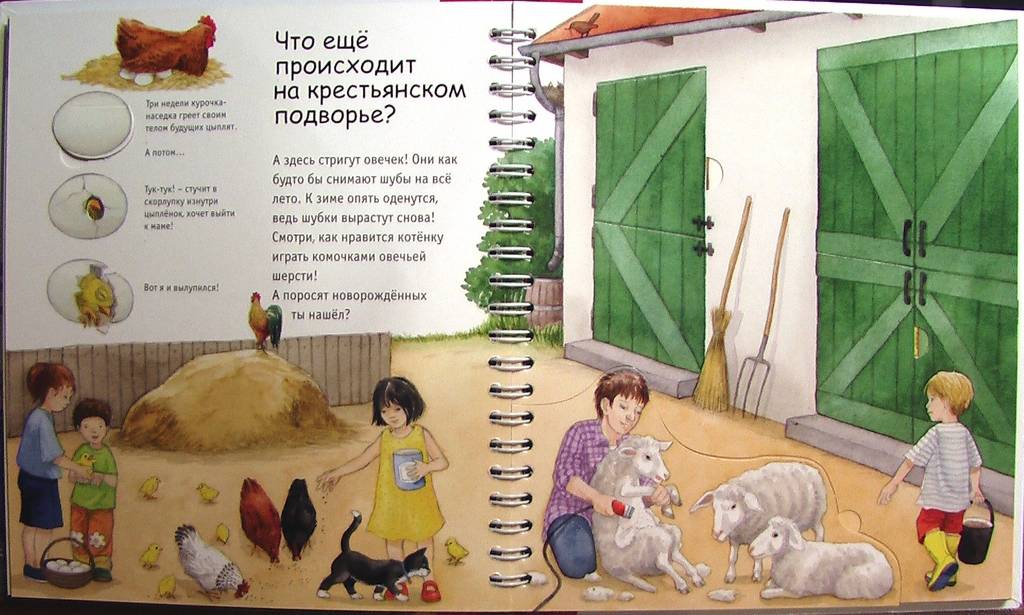 Иллюстрация 4 из 5 для Лето в деревне - Катя Райдер | Лабиринт - книги. Источник: HappyJul