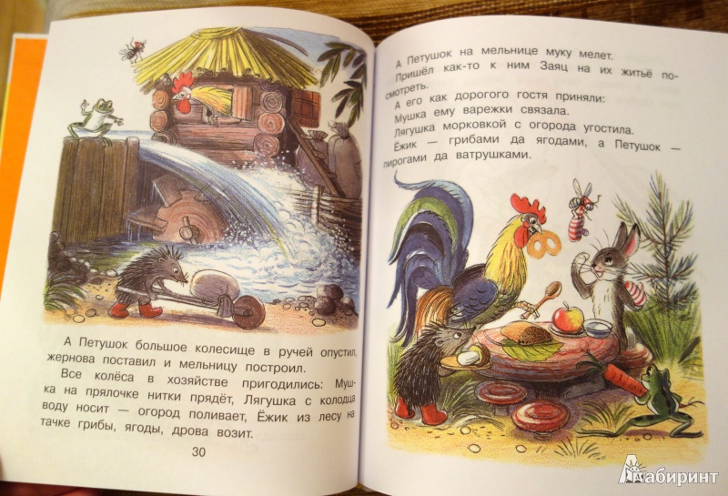 Иллюстрация 11 из 32 для Разноцветные истории - Владимир Сутеев | Лабиринт - книги. Источник: Черняк  Галина