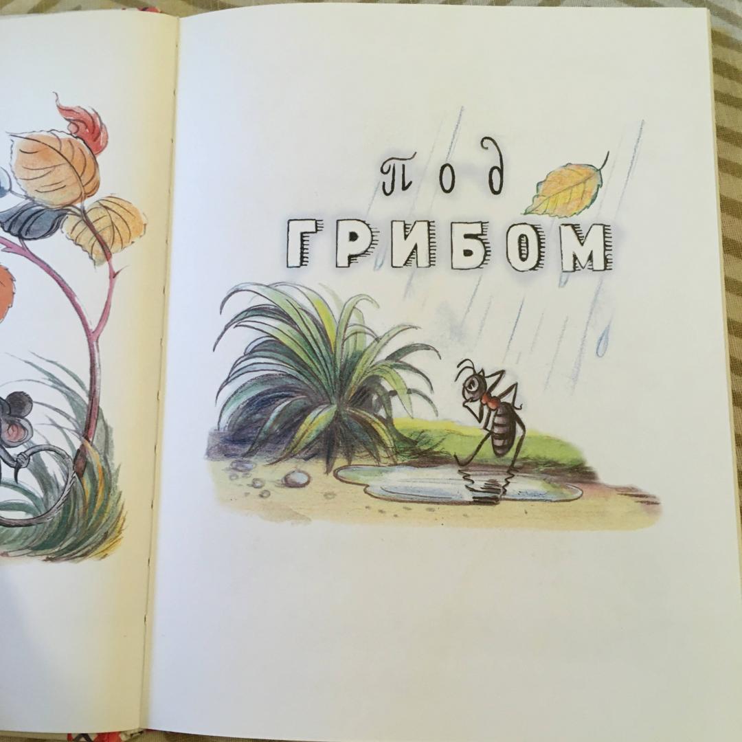 Иллюстрация 33 из 33 для Сказки и картинки - Владимир Сутеев | Лабиринт - книги. Источник: Фролов  Аркадий