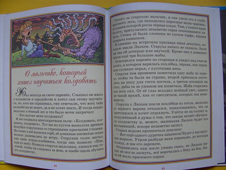 Иллюстрация 13 из 17 для Золотой король. Немецкие народные сказки | Лабиринт - книги. Источник: мама малыша