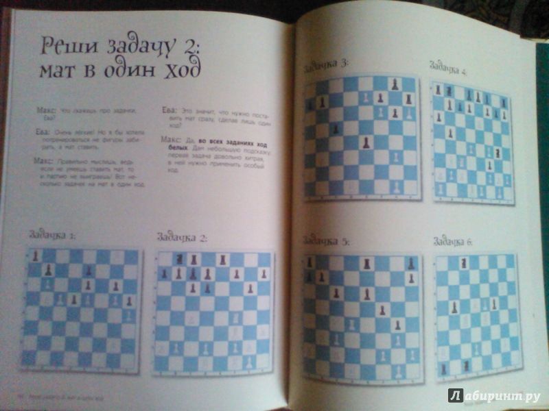 Иллюстрация 19 из 37 для Шахматы для детей - Сабрина Чеваннес | Лабиринт - книги. Источник: Fei Er