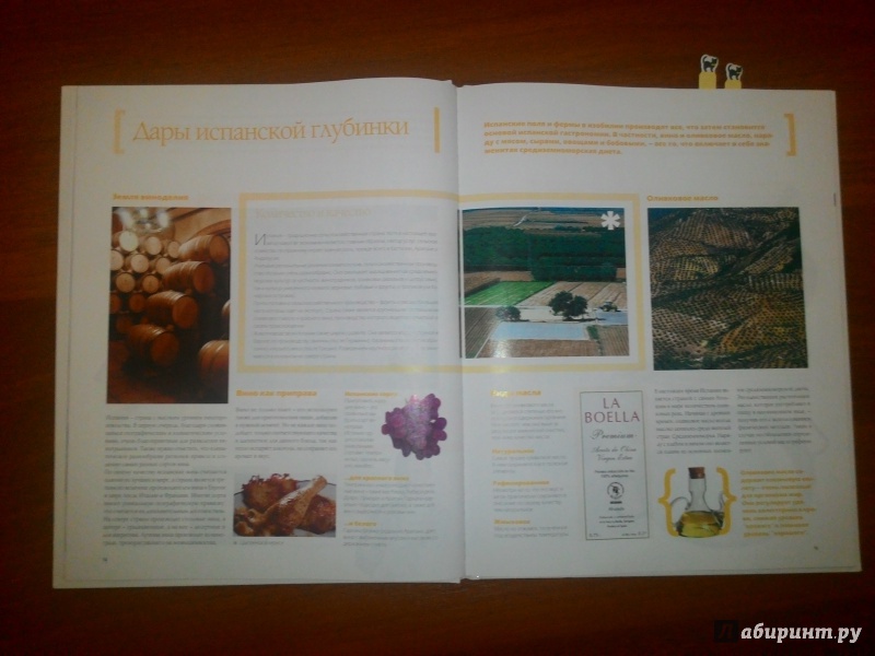 Иллюстрация 25 из 43 для Испанская кухня (том №3) | Лабиринт - книги. Источник: Гайтанкина  Арина Владимировна