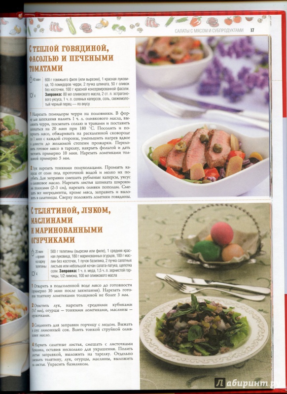 Иллюстрация 9 из 11 для 100 лучших рецептов праздничных салатов | Лабиринт - книги. Источник: boalinfo