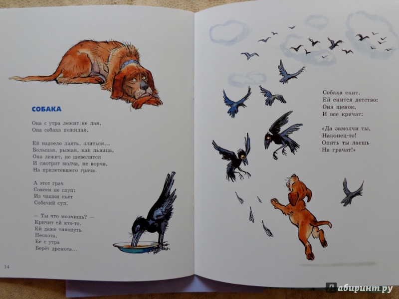 Иллюстрация 16 из 33 для Про щенков - Агния Барто | Лабиринт - книги. Источник: Матти Суоми